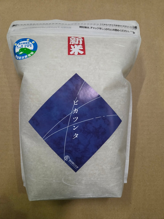 ピカツンタ 令和8年産