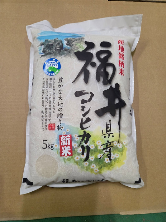 コシヒカリ　令和8年産