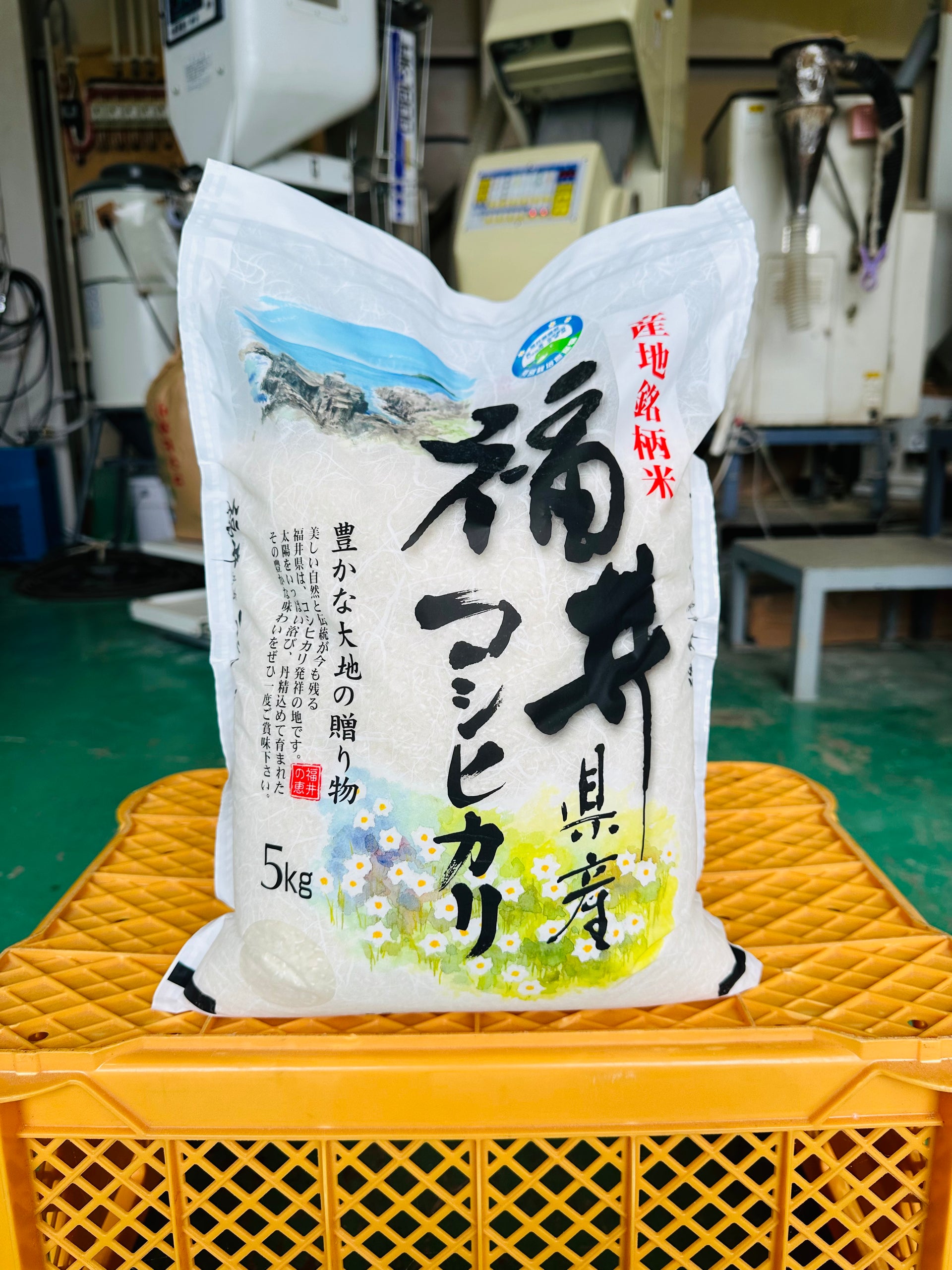 福笑い　新潟コシヒカリ R6年産】新潟県産コシヒカリ 白米 1kg – 株式会社米福