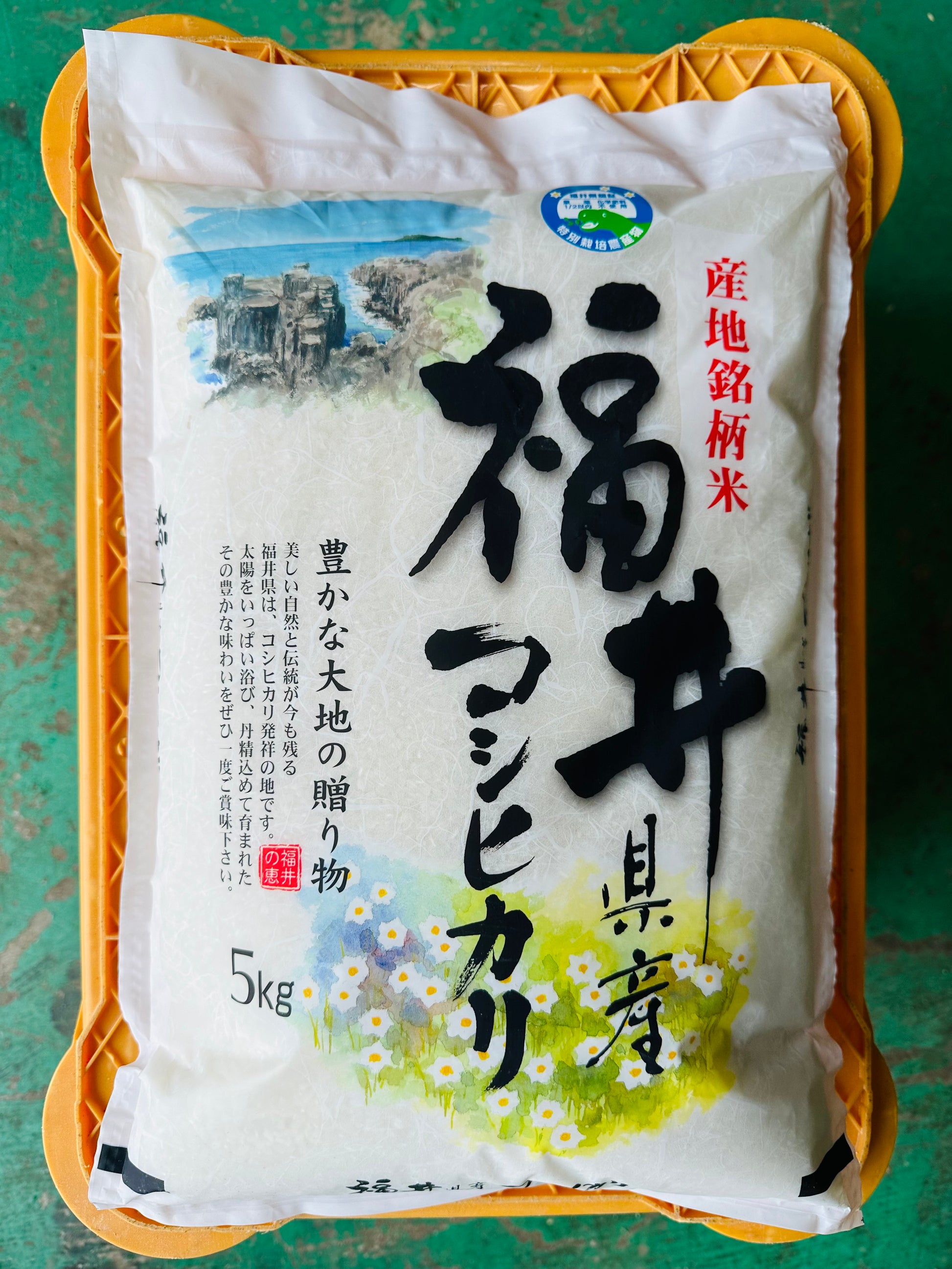 コシヒカリ 令和7年産 – NICHI コシヒカリ 令和7年産 – NICHI